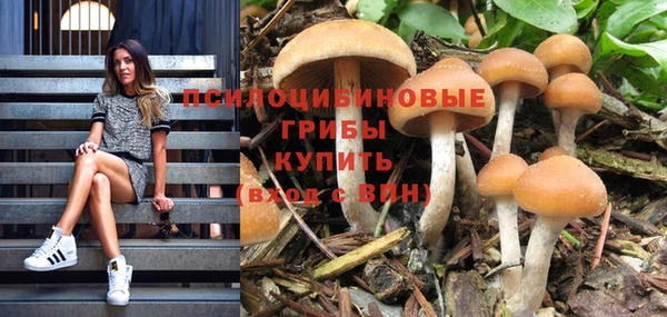 гашик Лиски