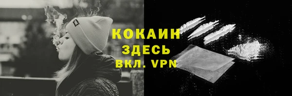гидра Майский