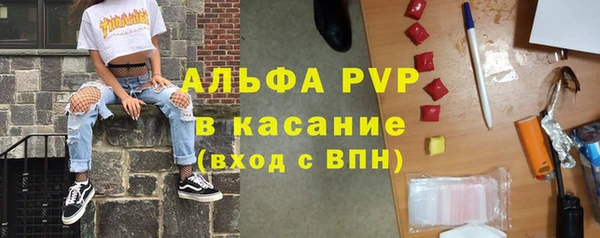 гидра Майский