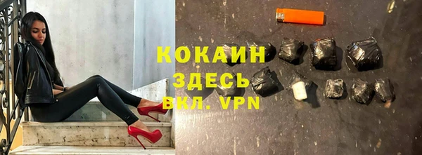 гидра Майский